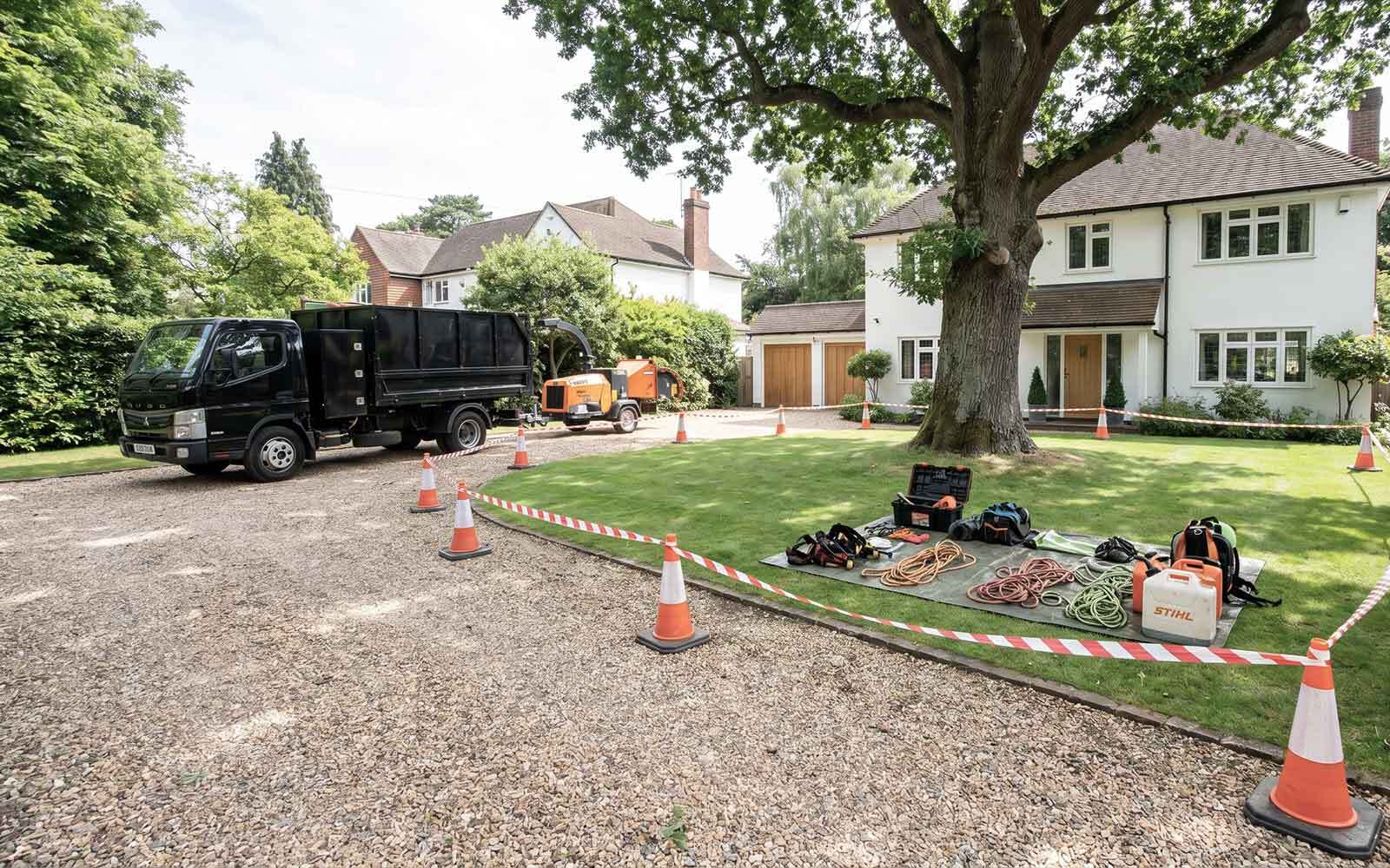 S&S Tree Surgery Work