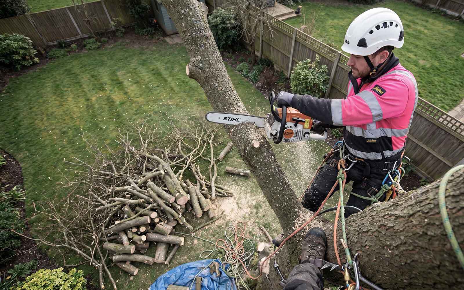 S&S Tree Surgery Work